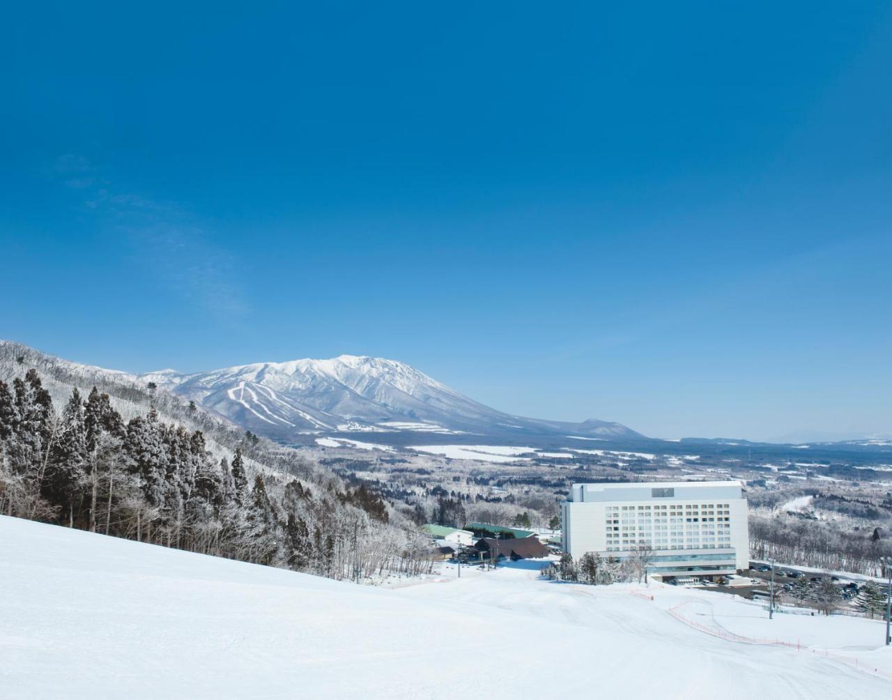 Shizukuishi Prince Hotel Hotel